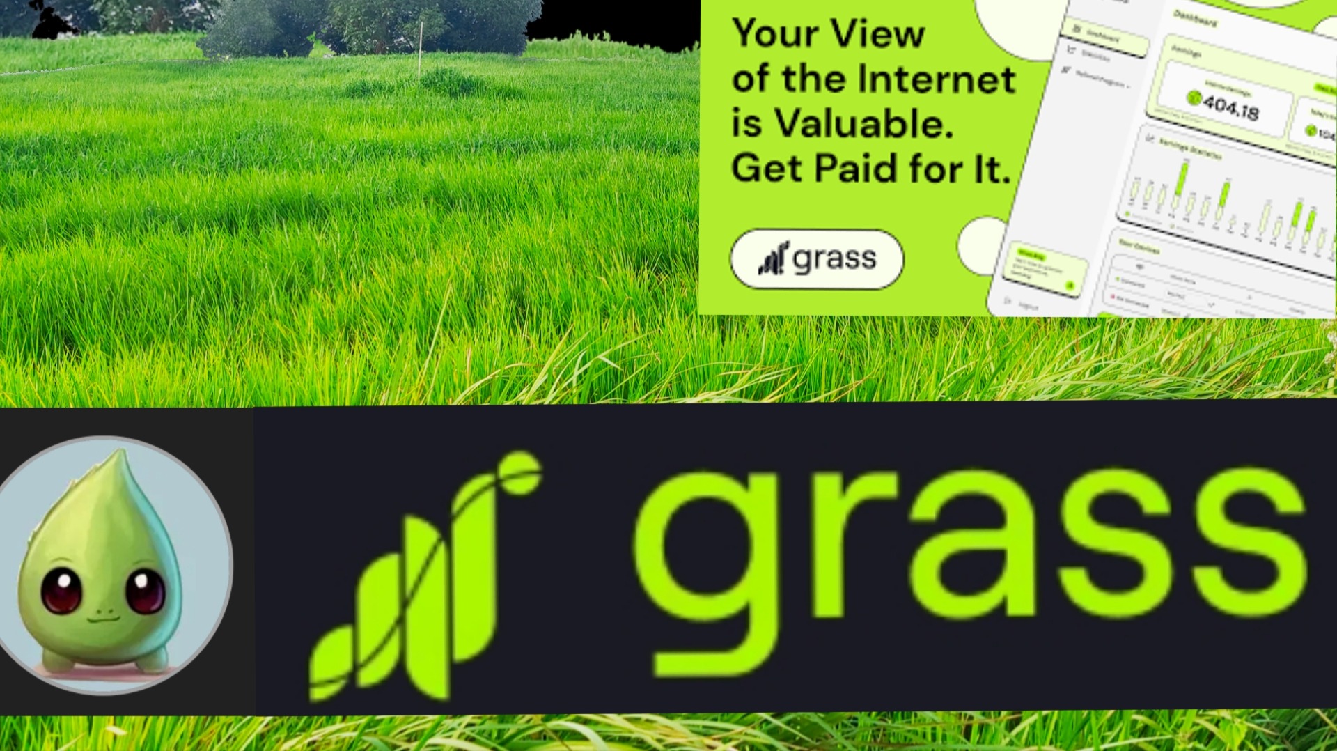 Grass: Earn A Stake in the AI Revolution