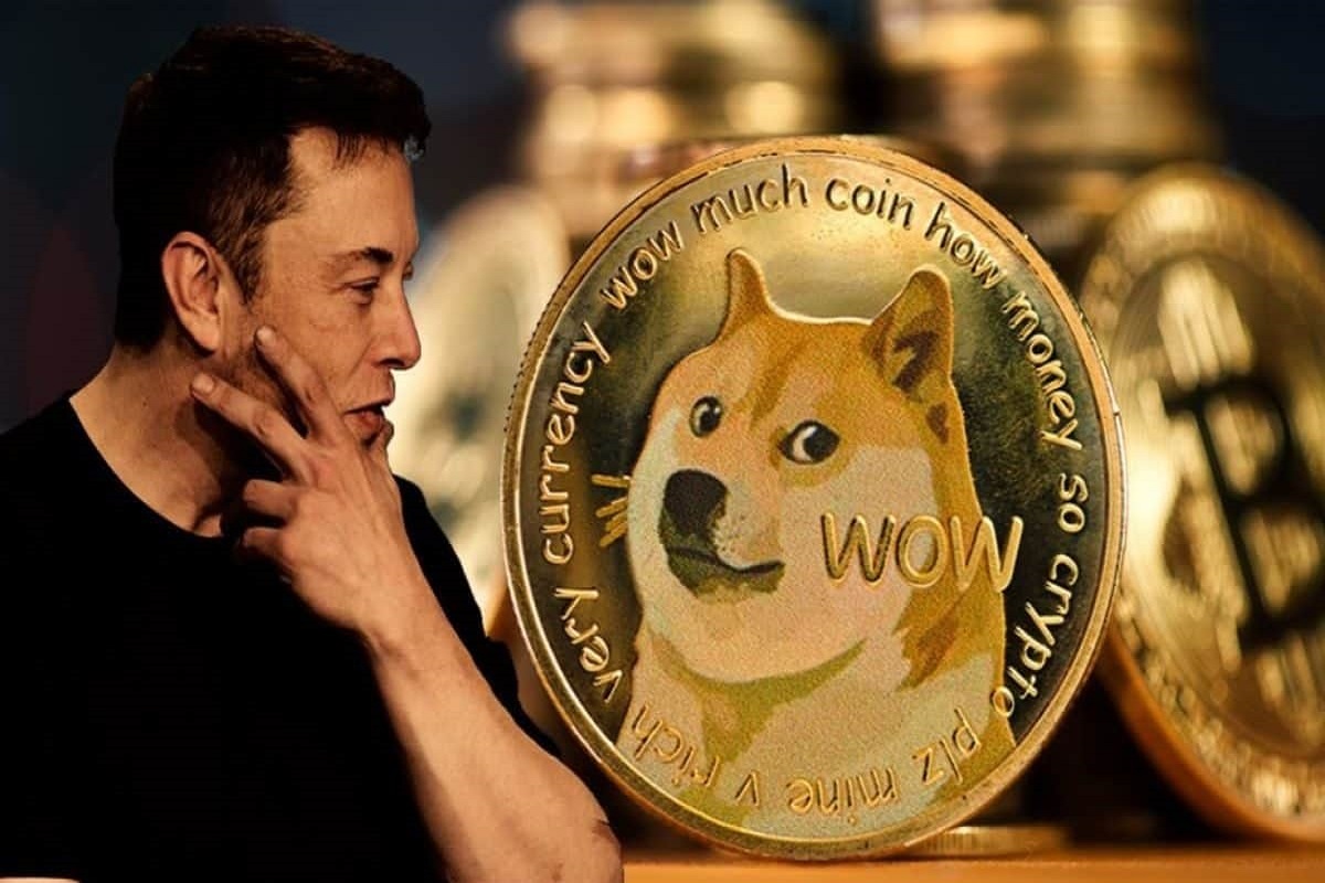 Elon Musk Supports Dogecoin Creator's Thesis