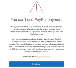 Is Your PayPal Account Frozen? Here’s What You Need to Do to Get Your Funds - DirectPayNet