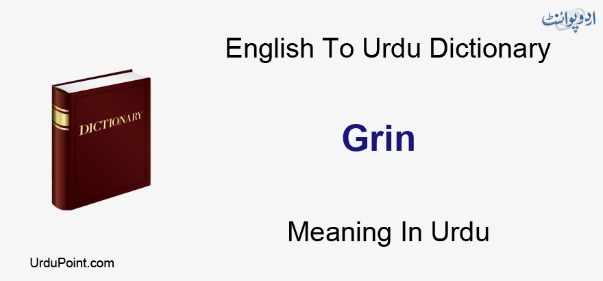 GRIN | English meaning - Cambridge Dictionary