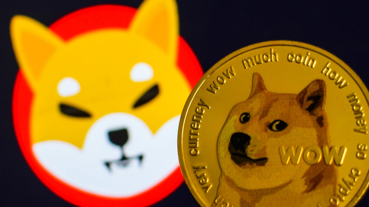 Dogecoin (DOGE) vs Shiba Inu (SHIB) – Which Is the Most Profitable Memecoin?
