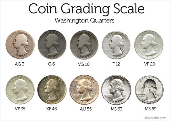 Coin Grading Terms – family-gadgets.rus - Wynyard Coin Centre