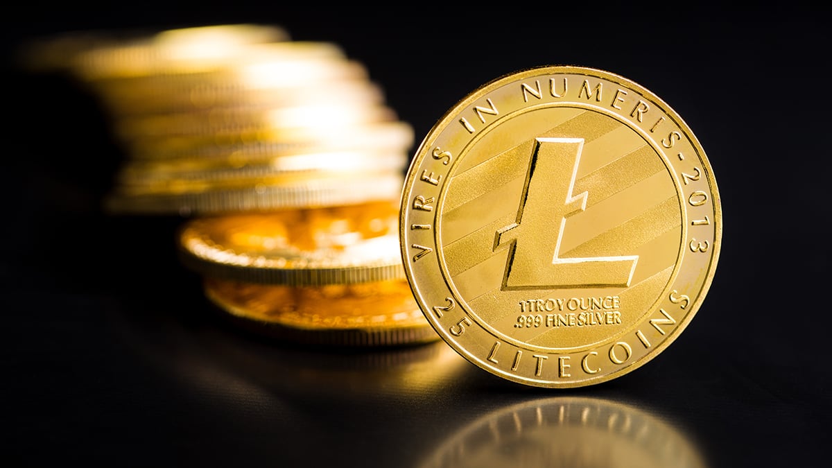 DFB to LTC Price today: Live rate Facebook Tokenized Stock Defichain in Litecoin