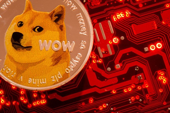 Elon Musk, Dogecoin'e neden destek verdiğini açıkladı | Independent Türkçe