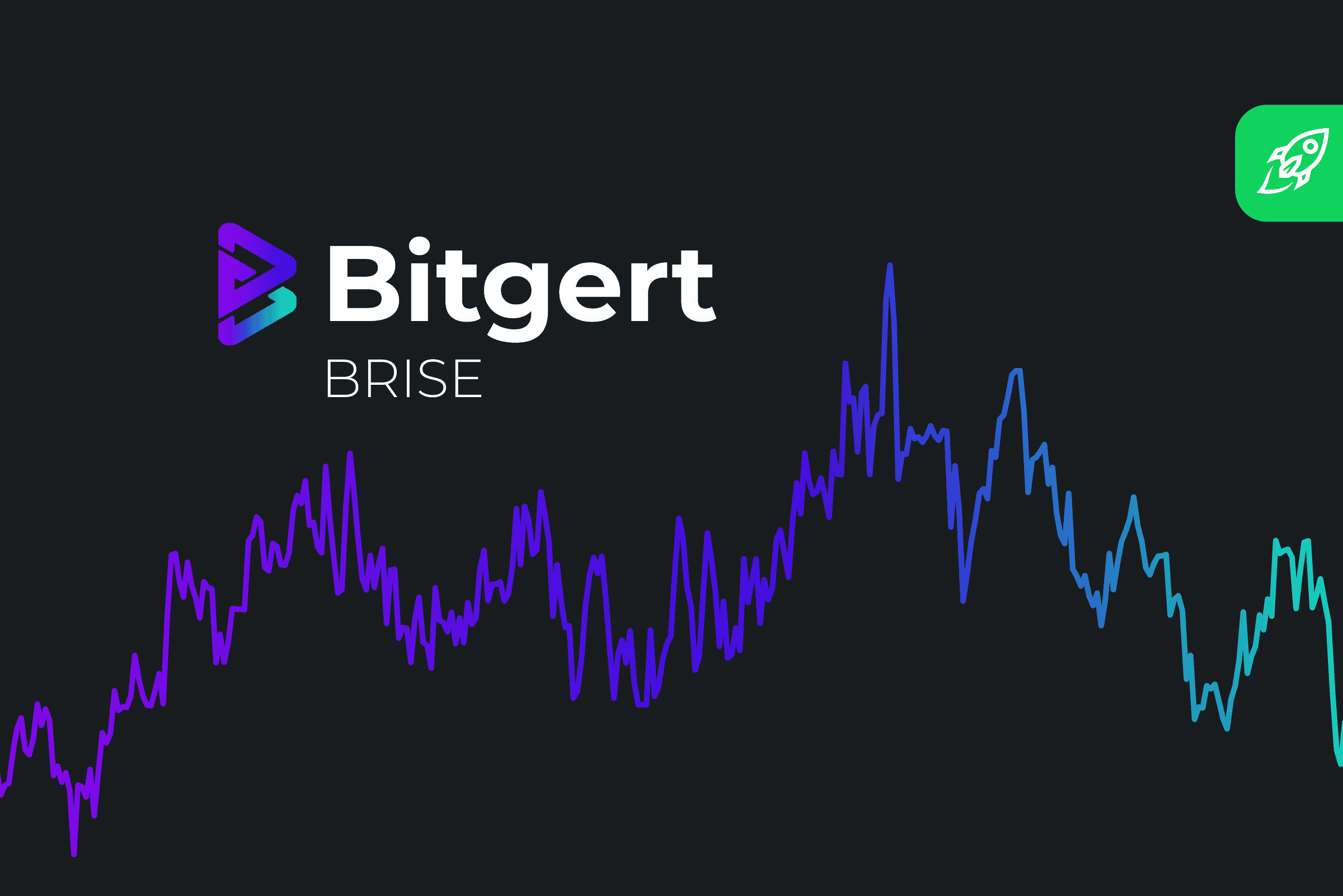 Bitgert price now, Live BRISE price, marketcap, chart, and info | CoinCarp