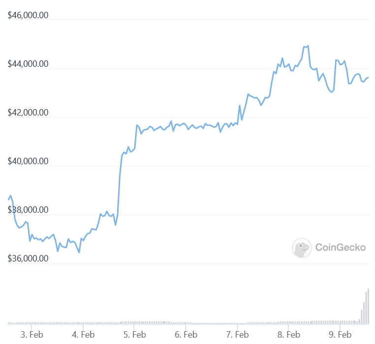 Bitcoin Price | BTC USD | Chart | Bitcoin US-Dollar | Markets Insider