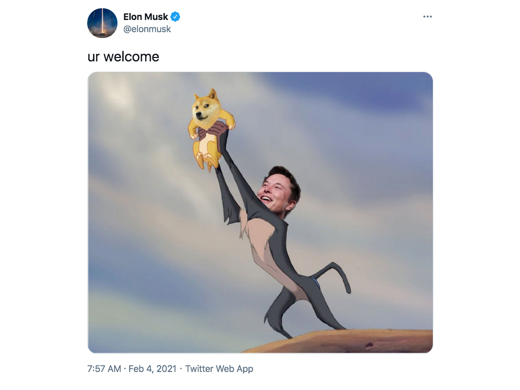 Why Elon Musk tweeted about Scooby Doo and Doge | Fortune Crypto