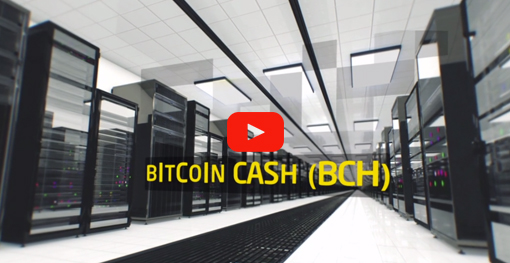 Satoshi в BCH (Satoshi в Bitcoincash) | конвертировать, обменный курс