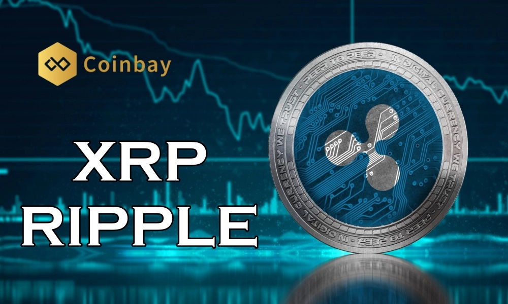 Flash Payments | The difference between Ripple and XRP