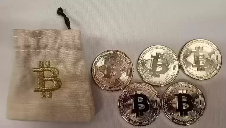 Bitcoin Snugzy | Personalised Snugzy Cushion