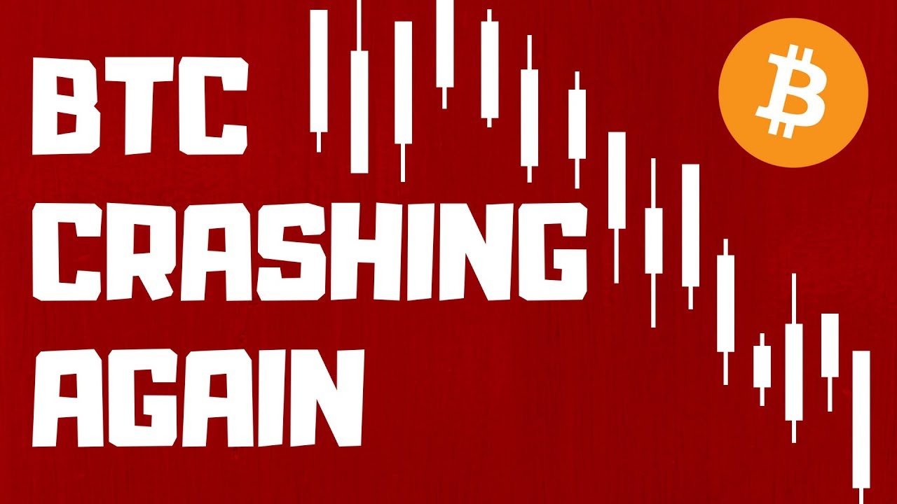 Is bitcoin going to crash again? - Times Money Mentor