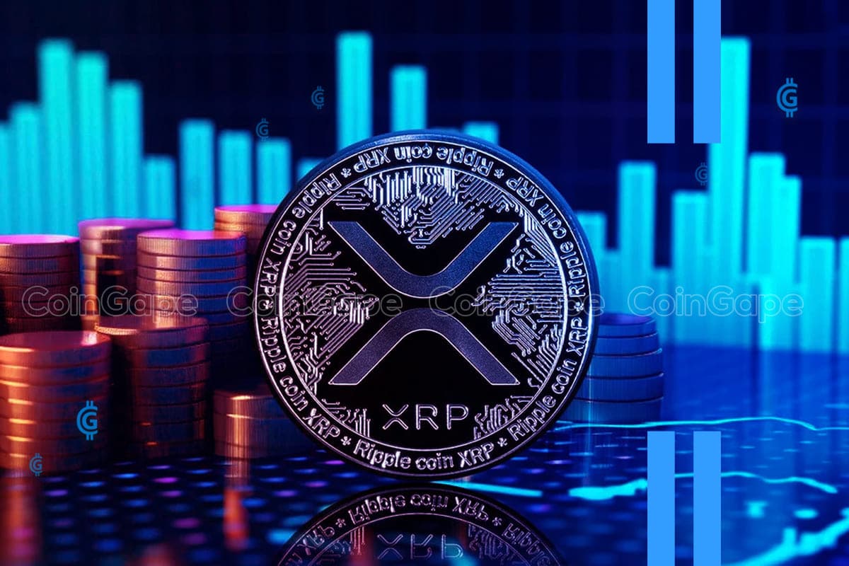 Ripple Ecosystem: What Is The Role Of XRP?