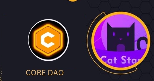 Catcoin Price Today - CAT to US dollar Live - Crypto | Coinranking