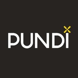 Complete Guide On Pundi X (NPXS)-What Problems It Solves-NPXS Price Prediction