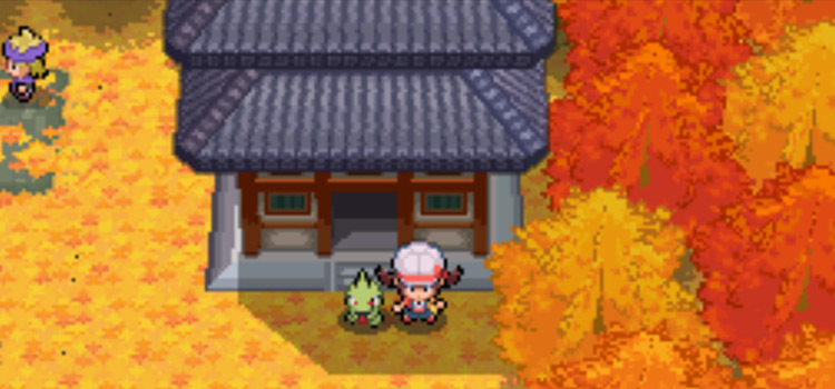 Where Can I Buy A Timer Ball In Pokemon Soul Silver? - Blurtit