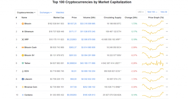 10 Popular Altcoins to Watch in 