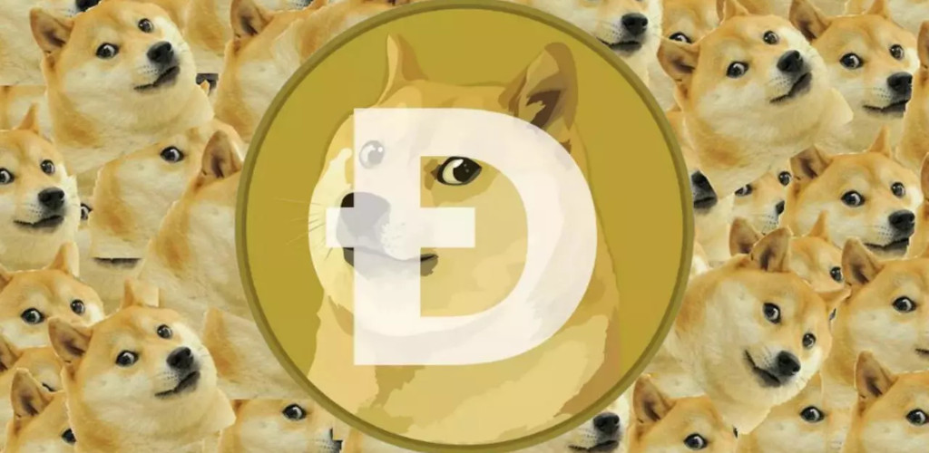 The Definitive Guide to Doge’s TikTok Pump - CoinDesk