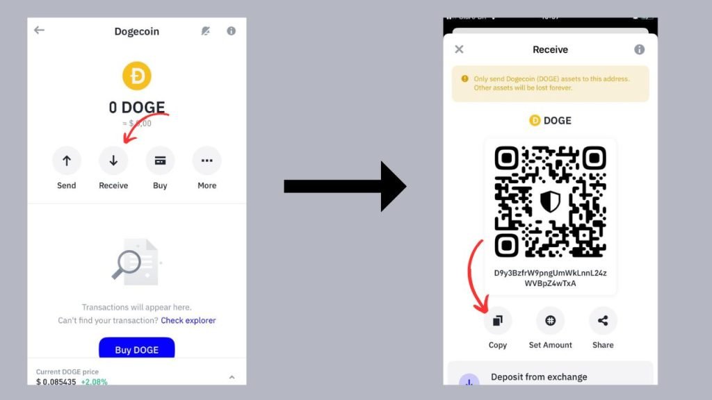 How to Buy Dogecoin Using Trust Wallet: A Visual Guide | Trust