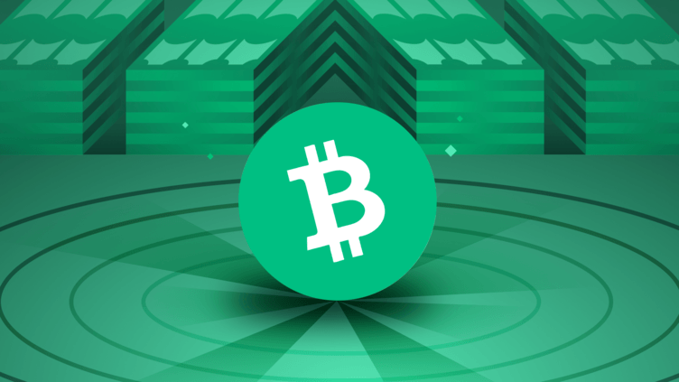 Bitcoin cash - CryptoMarketsWiki