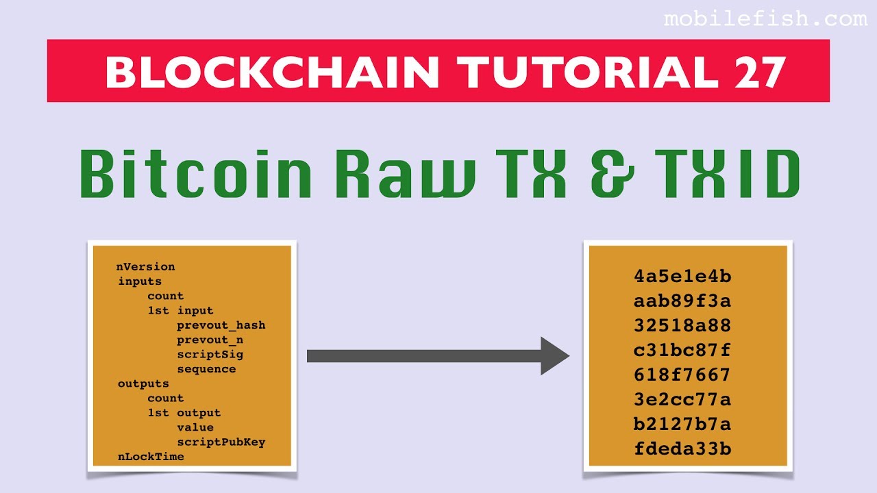 what's the difference between txid and transaction hash? · Issue # · bitcoin/bitcoin · GitHub