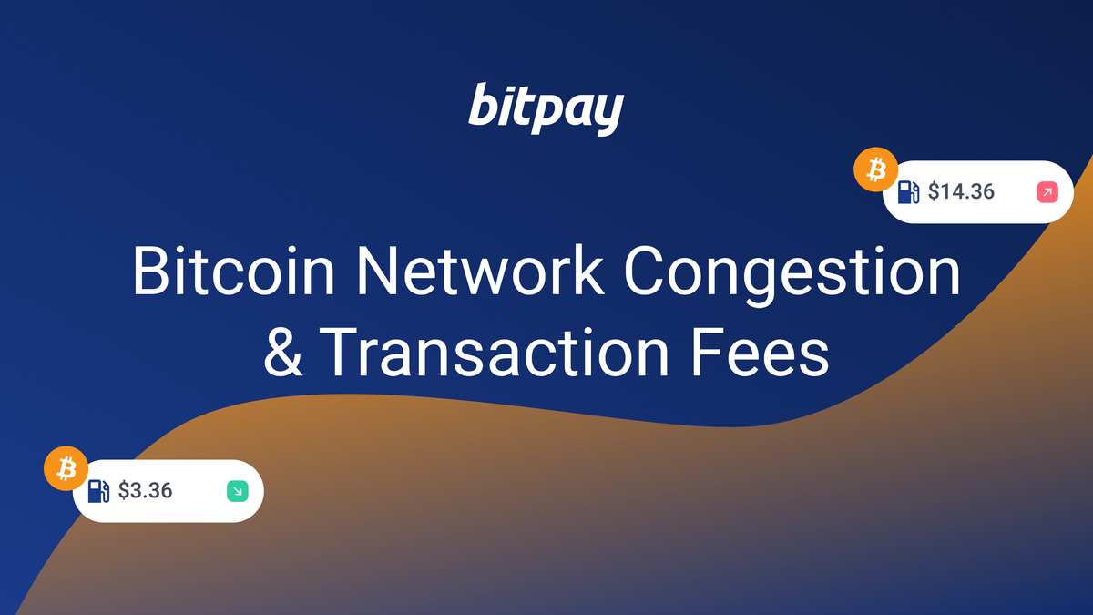 What Are Bitcoin Transaction Fees and Why Are They So High?