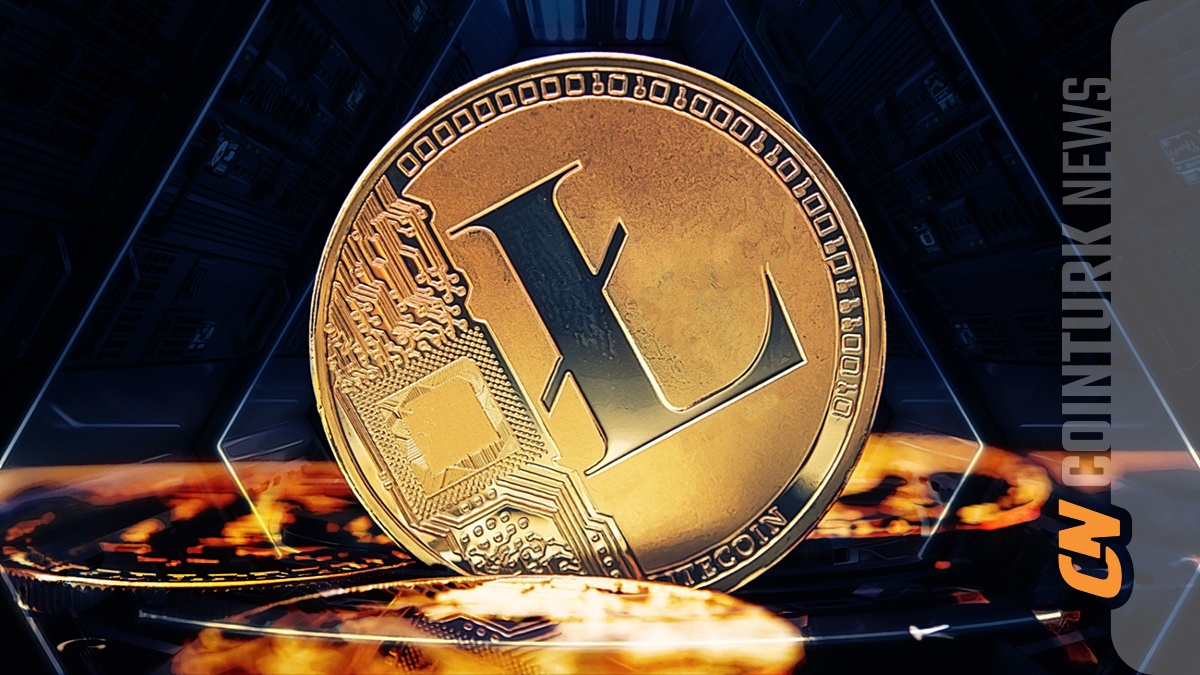 The Future of Litecoin: Key Features and Growth Potential | BULB