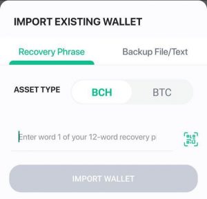What is the Largest Bitcoin Wallet That is Lost?