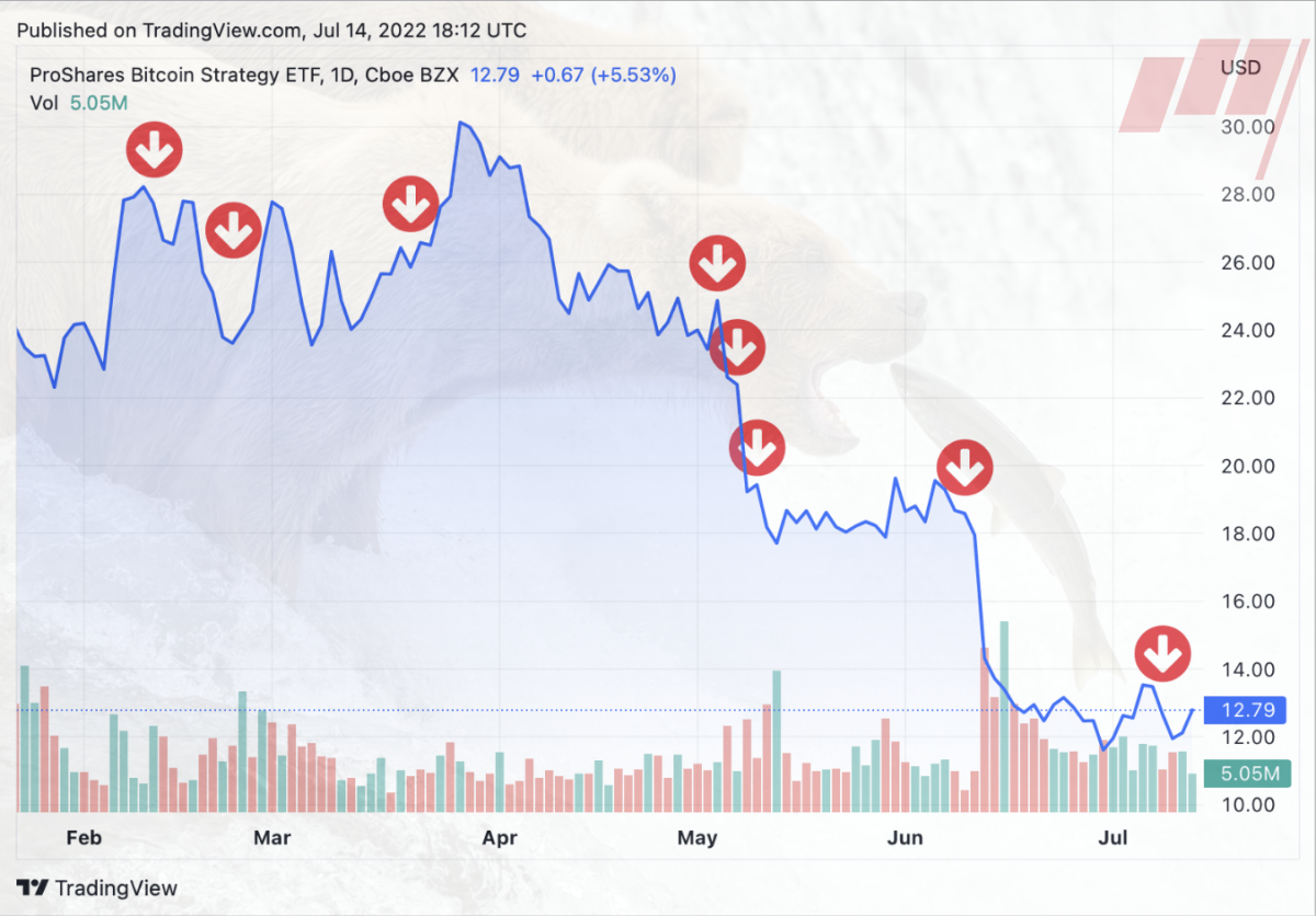 Trader Takes $20M 'Butterfly' Bet to Guard Against Bitcoin (BTC) Price Dropping to $47K