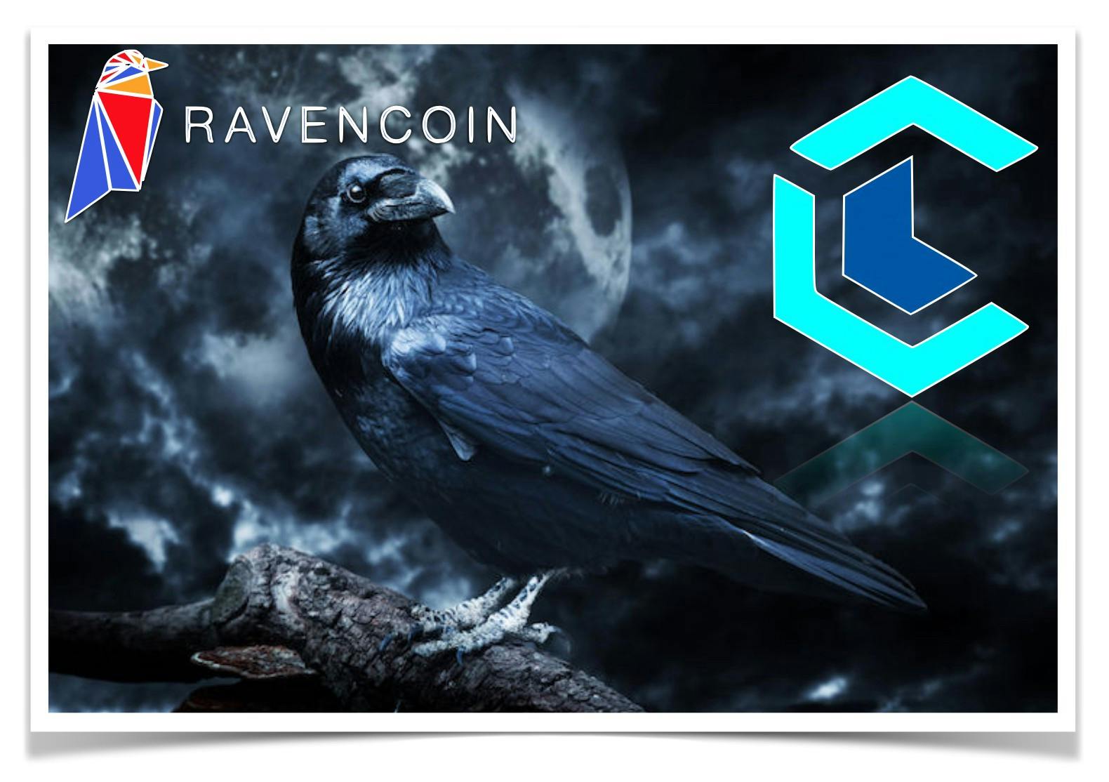 The Best Ravencoin Wallets: Detailed List and Main Features