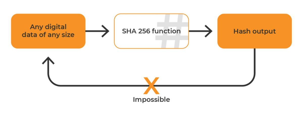 SHA Coins | CryptoRival