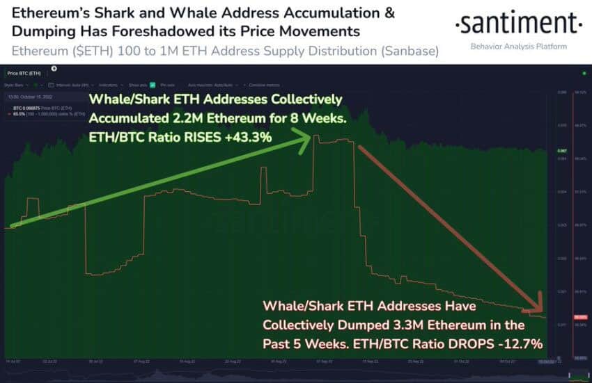 8 Ethereum to US Dollar or convert 8 ETH to USD