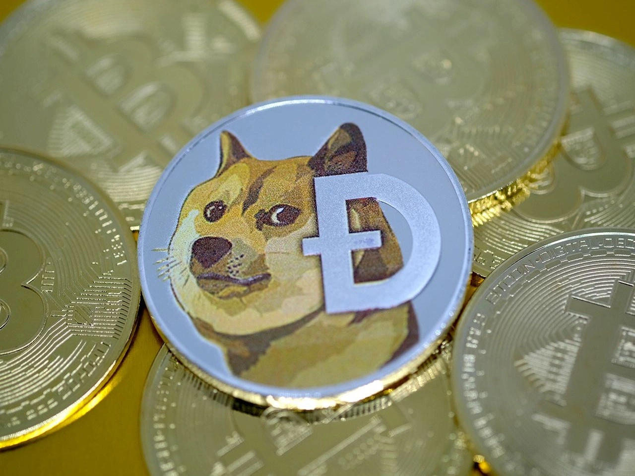 dogecoin??? - The Lounge - Kerbal Space Program Forums