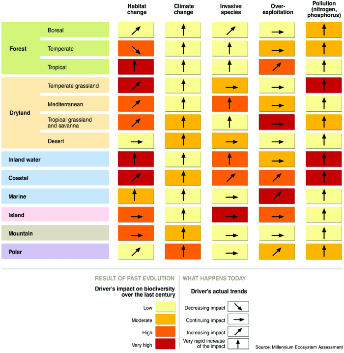 . Follow-up to the Millennium Ecosystem Assessment