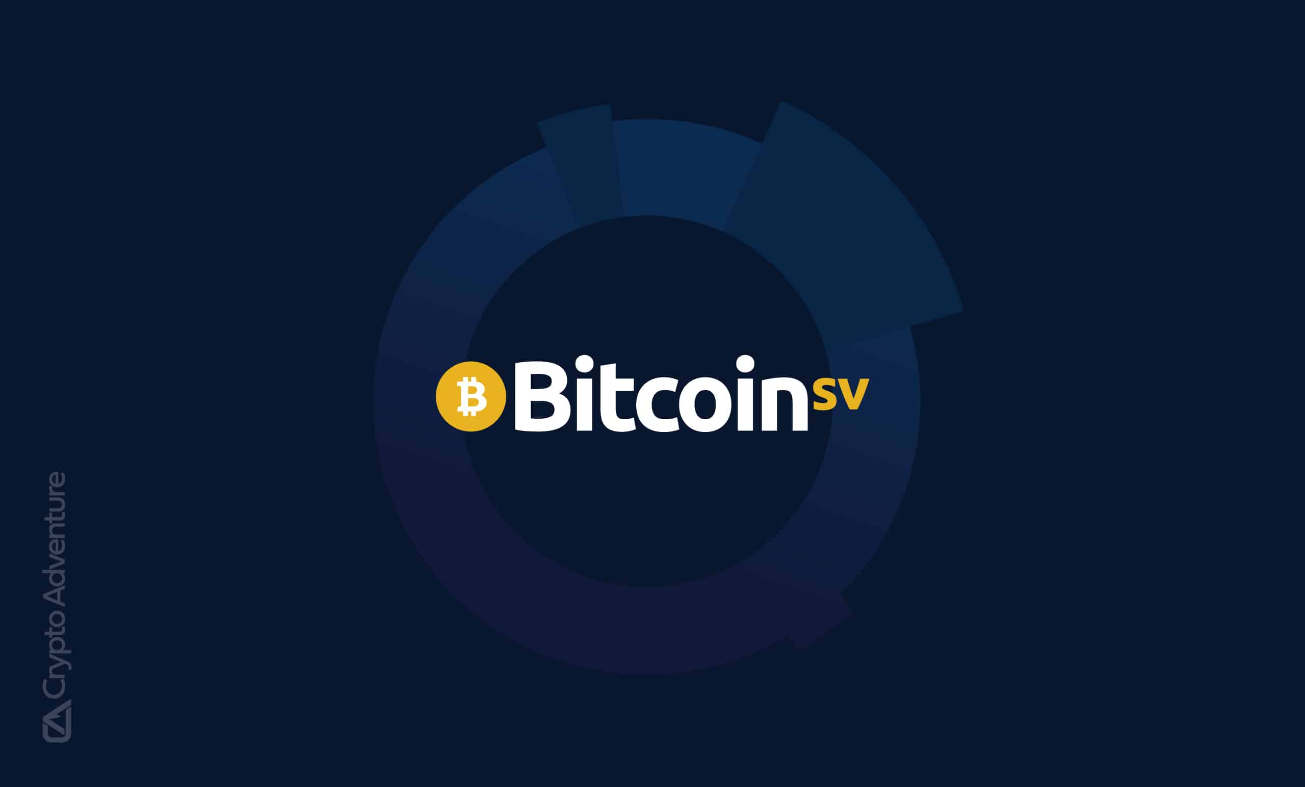 Bitcoin SV (BSV)