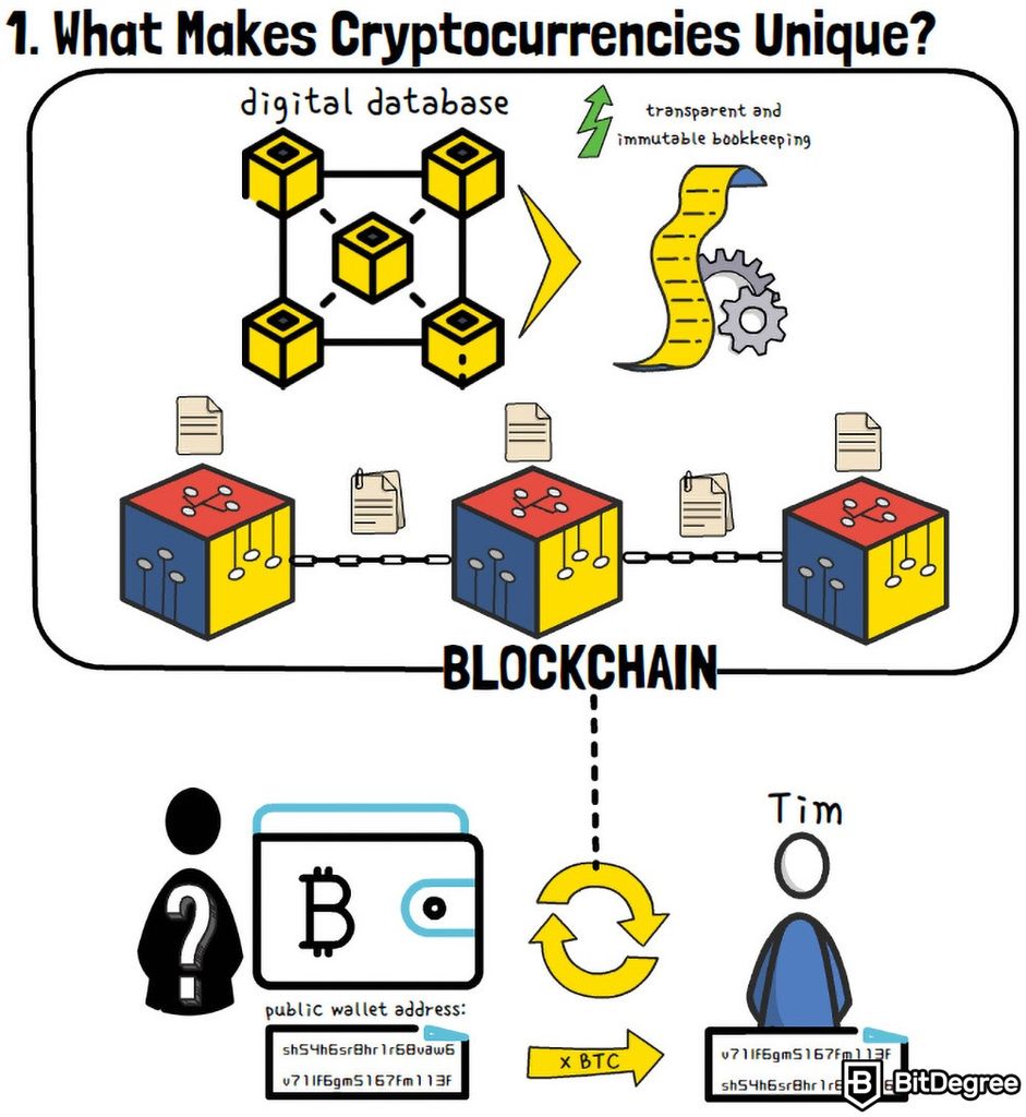 Cryptocurrency Explained With Pros and Cons for Investment