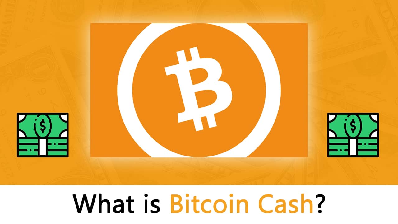 Knuth | Bitcoin Cash Full Node and Development platform