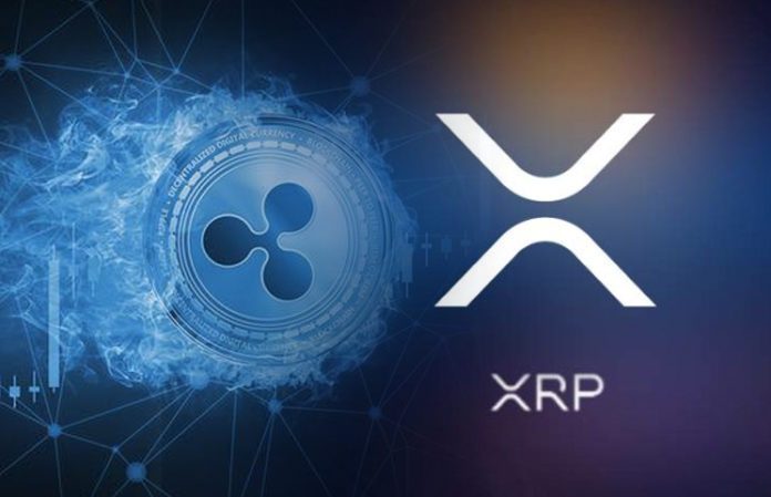 What are the XRP Financial Statements from to ?