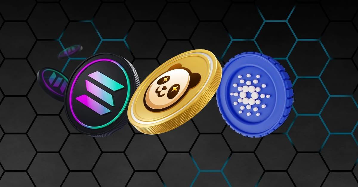 Swarm Definition | CoinMarketCap