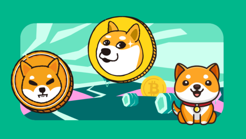 1 DOGE to ZAR - Dogecoins to South African Rand Exchange Rate