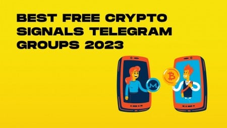 Top 5 Bitcoin Signals Groups on Telegram » family-gadgets.ru
