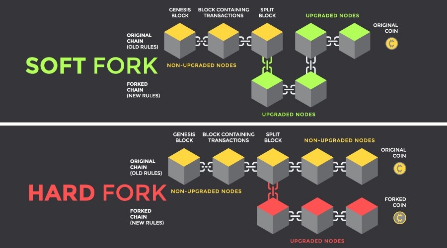 What is a hard fork in crypto? | Hard fork vs soft fork | Fidelity