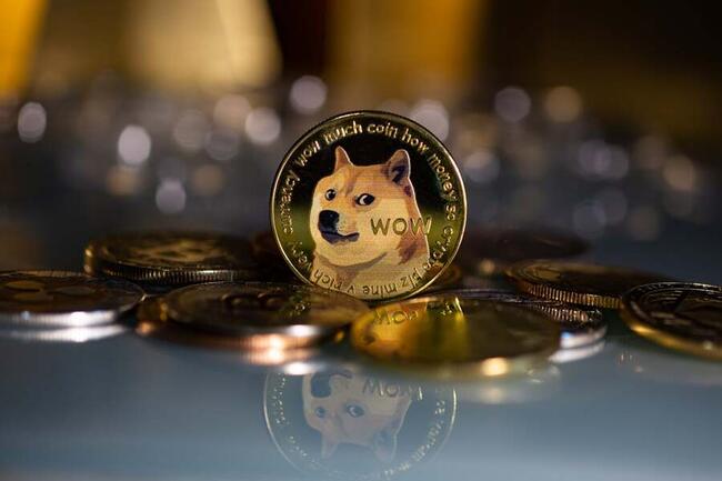 DOGE to IDR - Convert Dogecoin to Indonesian Rupiah | CoinChefs