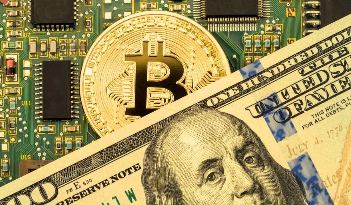 Convert Bitcoins to Belize Dollars - (BTC in BZD) - family-gadgets.ru