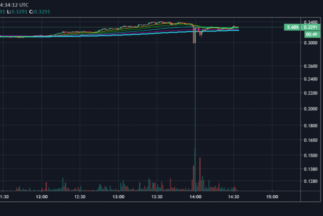 Outrageous XRP flash crash liquidates BitMEX trader