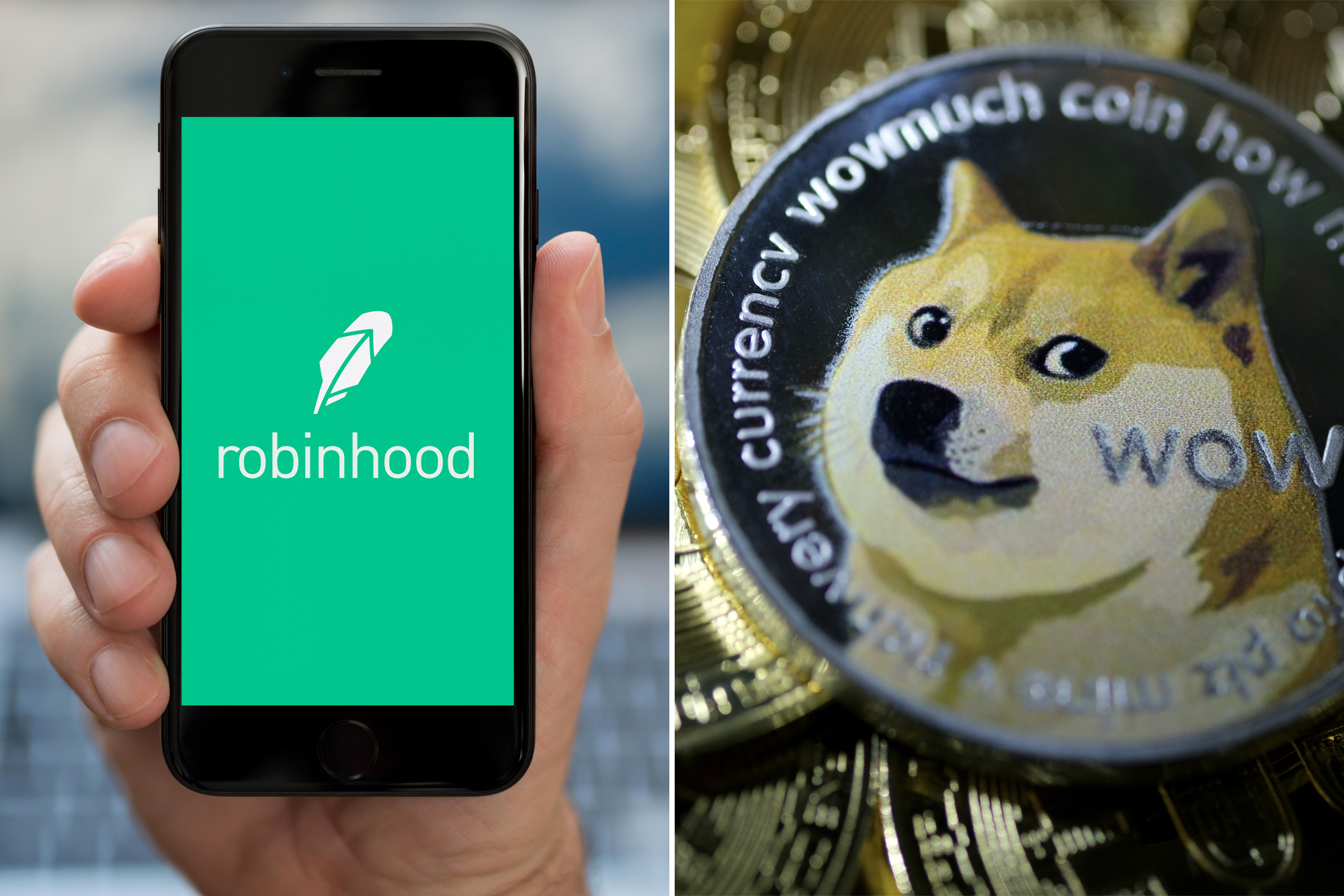 How To Send Dogecoin From Robinhood | family-gadgets.ru