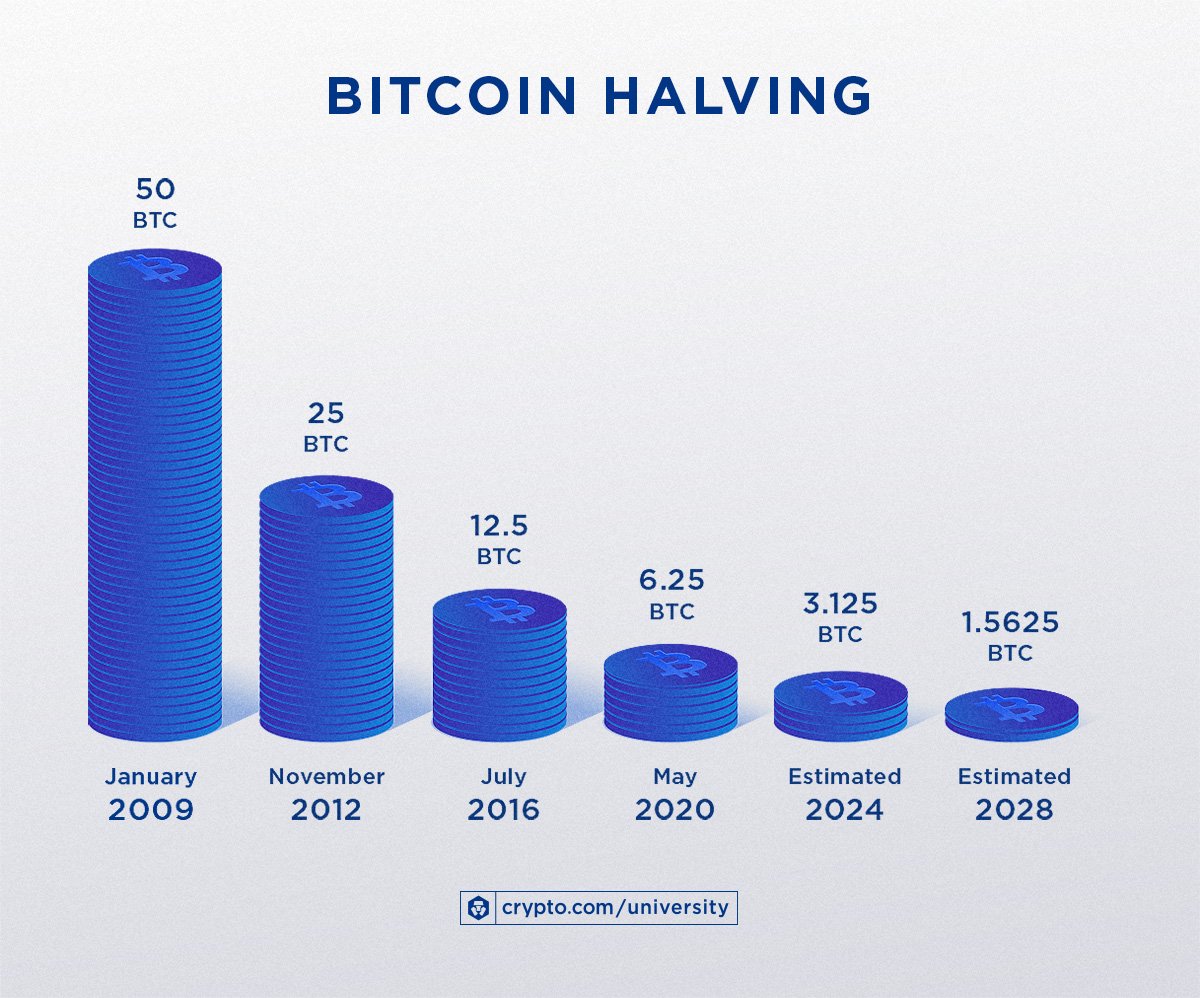 What Is Bitcoin Halving? – Forbes Advisor Australia