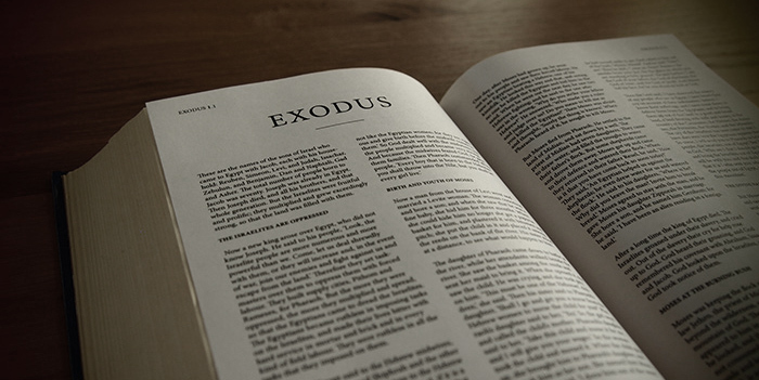 EXODUS: Synonyms and 14 Antonyms | family-gadgets.ru