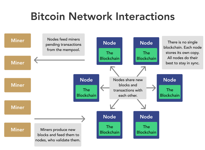 The difference between a Bitcoin node and a miner
