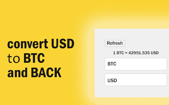 Bitcoin to USD Converter | How much are your satoshis worth?