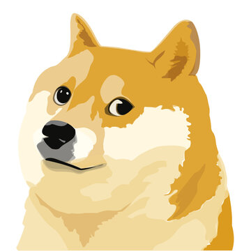 A Beginner’s Guide to Dogecoin (DOGE) | Trust